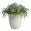 Honeybloom Ares White Stone Outdoor Planter, Medium