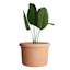 Japi Firenze Terracotta Outdoor Planter, Large