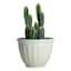 Providence Siena White Outdoor Planter, Medium
