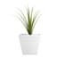 Providence White Sarabi Square Outdoor Planter, Large