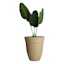 Honeybloom Beige Vintage Outdoor Planter, Medium