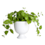 Providence White Emilia Urn Outdoor Planter, 12"