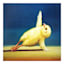 3-Piece Yoga Chicks Canvas Wall Art, 6"