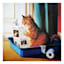 Kitty Throne Canvas Wall Art, 12"