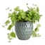 Moss Green Crown Ceramic Outdoor Planter, Medium
