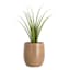 Honeybloom Honeycomb Tall Caramel Outdoor Planter, Large
