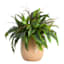Honeybloom Honeycomb Tall Caramel Outdoor Planter, Medium