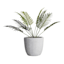Sherwin White Antique Concrete Outdoor Planter, Medium
