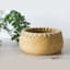 Wood & Weave Decorative Bowl, 11x5