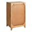 Found & Fable Rae Accent Cabinet with Natural Mango Wood Finish