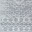 (D497) Roma Grey Global Area Rug, 5x7