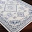 (D496) Roma Blue Medallion Area Rug, 5x7