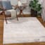 (D498) Crosby St. Roma Grey Abstract Area Rug, 5x7