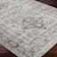 (D507) Monte Carlo Grey Medallion Border Area Rug, 5x7