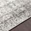 (D507) Monte Carlo Grey Medallion Border Area Rug, 5x7