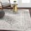 (D507) Monte Carlo Grey Medallion Border Area Rug, 5x7