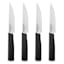 KichenAid 4-Piece Classic Steak Knife Set