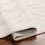 (B861) Crosby St. Lyna Ivory Zebra Design Washable Area Rug, 5x7