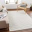 (B861) Crosby St. Lyna Ivory Zebra Design Washable Area Rug, 8x10