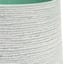 Ty Pennington Indoor Green Concrete Rope Pot, Extra Small