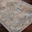 (B881) Tahmis Black & Gold Medallion Washable Area Rug, 5x7