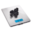 Taylor 11lb Stainless Steel Digital Scale
