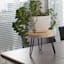Wooden Plant Stand, 10"