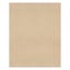 (E457) Ruby Natural Flatweave Outdoor Area Rug, 8x10