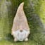 Honeybloom Floral Gnome Outdoor Garden Statue, 14"