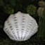 Ty Pennington Scallop Sandstone Outdoor LED Garden Statue, 10"