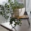 Found & Fable Bamboo & Metal Plant Stand, Small