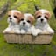 Three Dogs in a Basket Outdoor Garden Statue, 9"