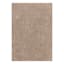 (C202) Hayne Neutral Floral Shag Area Rug, 5x7