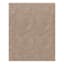 (C202) Hayne Neutral Floral Shag Area Rug, 8x10