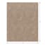 (C202) Hayne Neutral Floral Shag Area Rug, 8x10