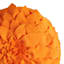 Sun Orange Petal Outdoor Throw Pillow, 18"
