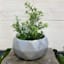 Crosby St. Indoor Grey Geometric Planter, 6.7"