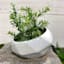 Crosby St. Indoor White Bias Geometric Planter, 6.5"