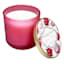 Dragon Fruit Agua Fresca Scented Jar Candle, 11oz