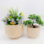 Ty Pennington Hollow Wood Outdoor Planter, Large