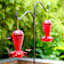Red Hummingbird Bird Feeder, 32oz