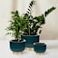 Found & Fable Indoor Emerald & Gold Dean Planter, 6"