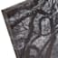 Oak Tree Path Canvas Wall Art, 60x20