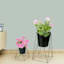 Black Metal Plant Stand, Large
