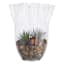 Willow Crossley Pie Crust Edge Clear Glass Vase, 17"