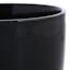 Indoor Elsie Black Stoneware Ceramic Pot, Small