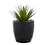 Indoor Elsie Black Stoneware Ceramic Pot, Small
