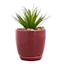 Indoor Elsie Red Stoneware Ceramic Pot, Small