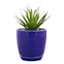 Indoor Elsie Blue Stoneware Ceramic Pot, Small