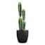 Indoor Elsie Black Stoneware Ceramic Pot, Medium